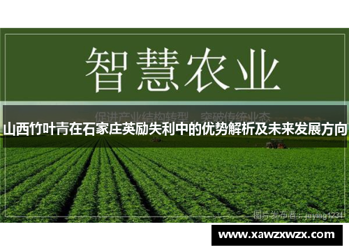 山西竹叶青在石家庄英励失利中的优势解析及未来发展方向 山西竹叶青在石家庄英励失利中的优势解析及未来发展方向
