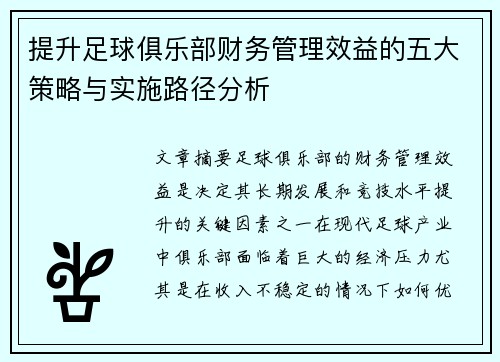 提升足球俱乐部财务管理效益的五大策略与实施路径分析 提升足球俱乐部财务管理效益的五大策略与实施路径分析